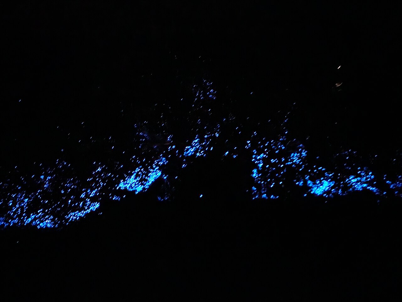 Bioluminescence at Qantab, Oman