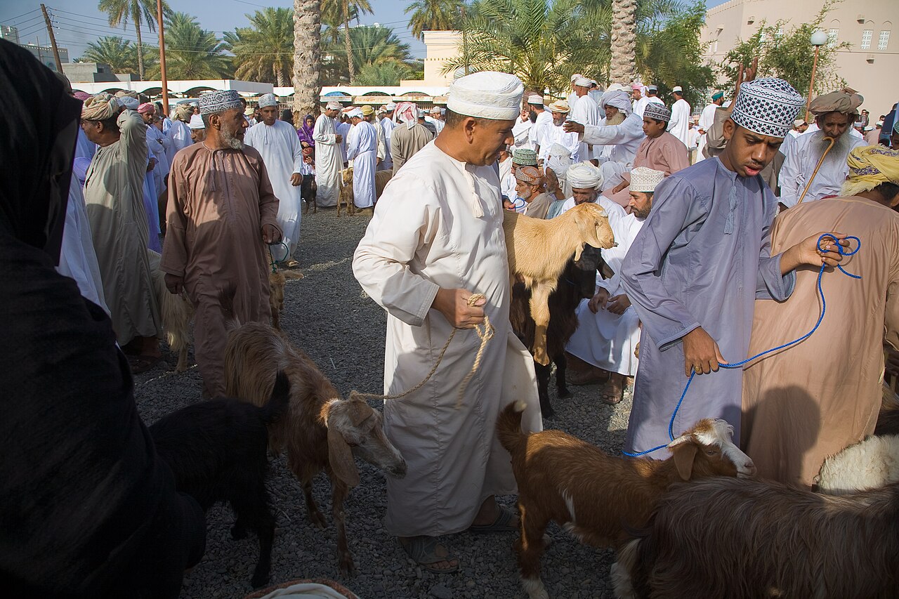Nizwa Friday goat market, Oman, coming soon in the guide